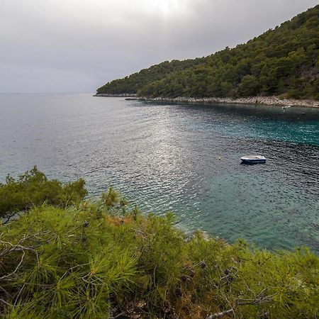 Gdinj Secluded Fisherman'S Cottage Cove Skozanje, Hvar - 4009 מראה חיצוני תמונה